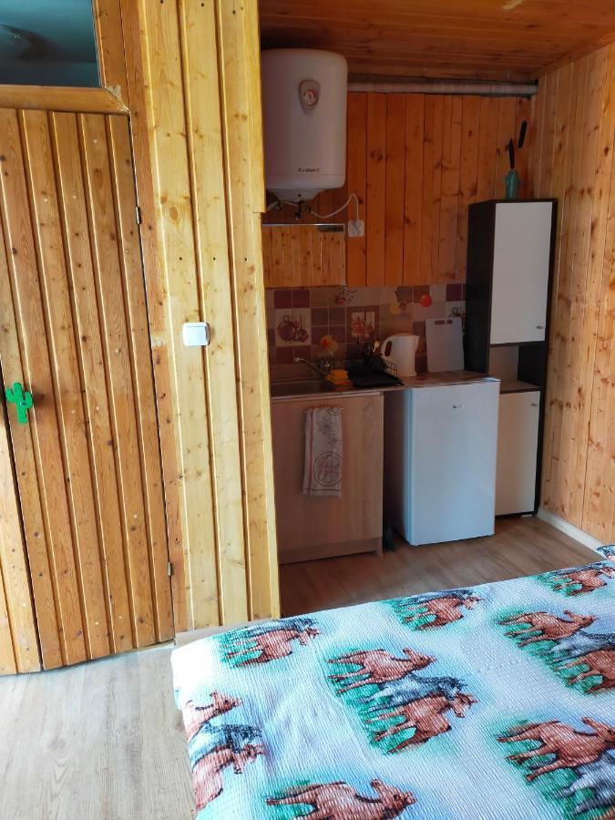 Iza-pokoje Do Wynajecia Wiselka