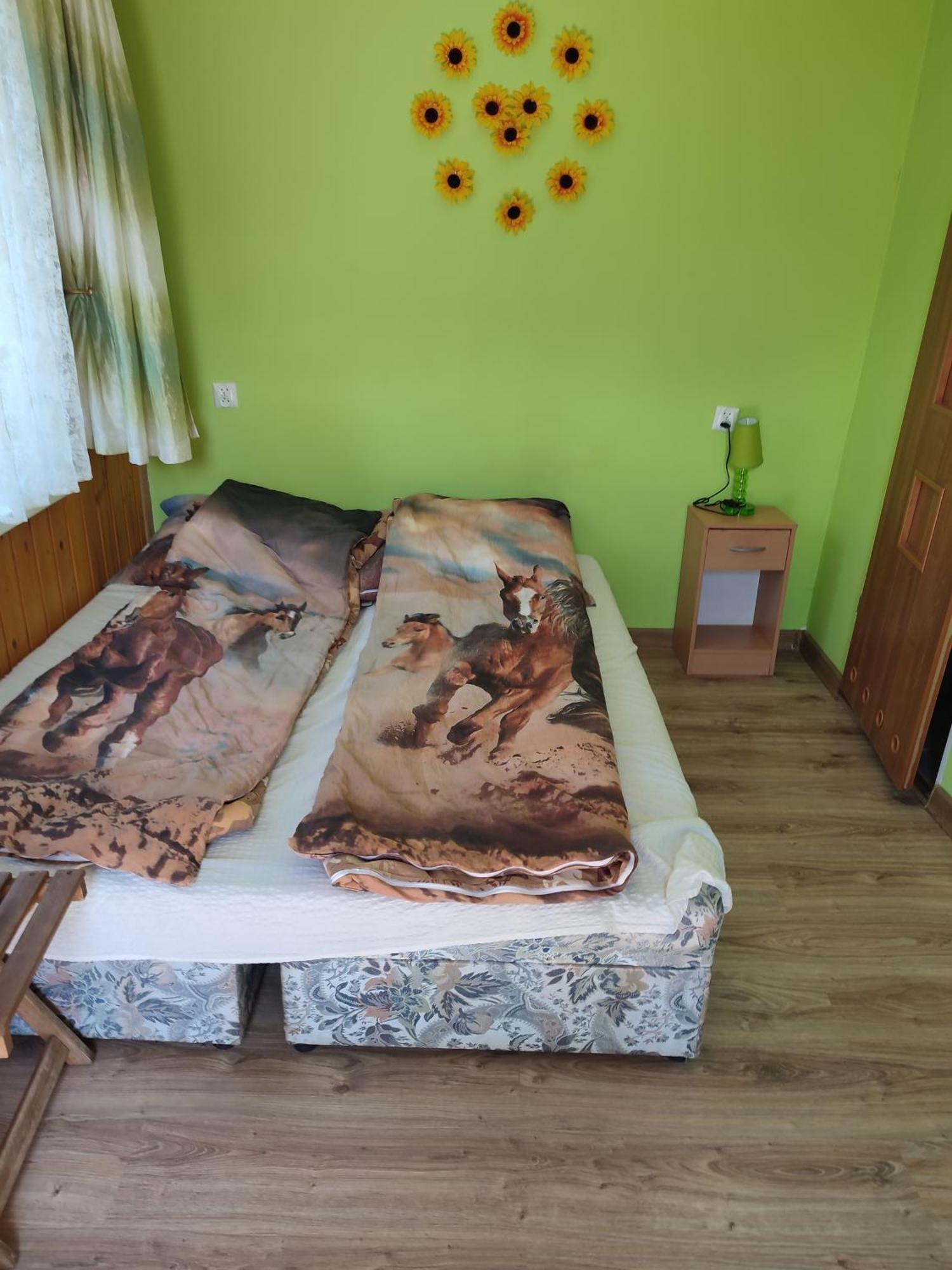 Iza-pokoje Do Wynajecia Wiselka